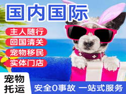 温州龙湾机场快递国际宠物托运 【国